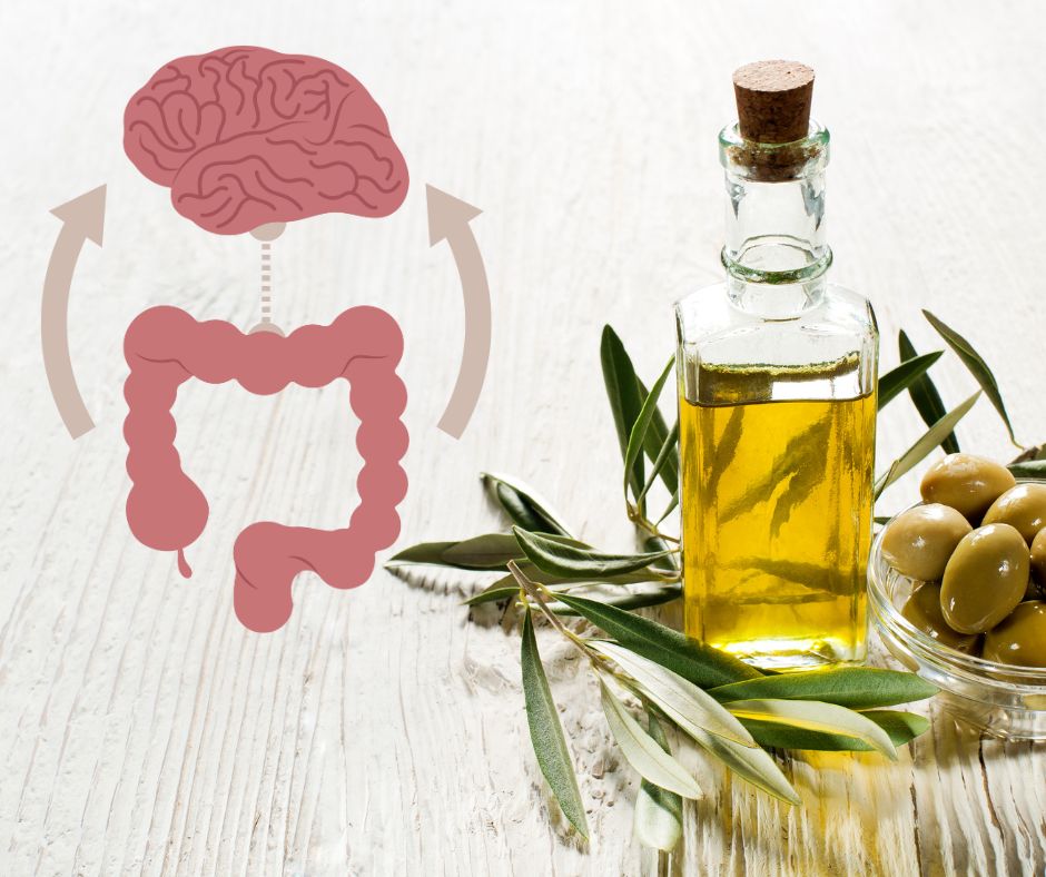 Supporting the Gut–Brain Axis with Extra Virgin Olive Oil