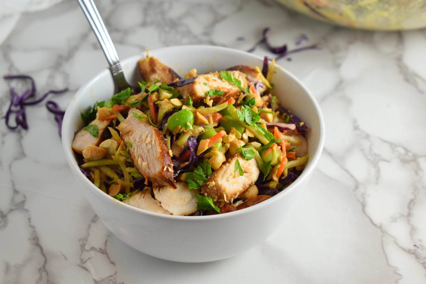 Asian Broccoli Slaw with Chicken
