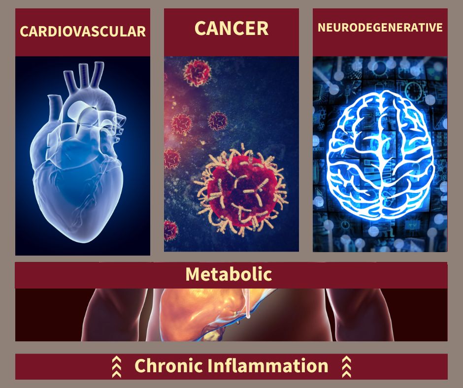 The 4 Horsemen of Disease and the Connection to Metabolic Health