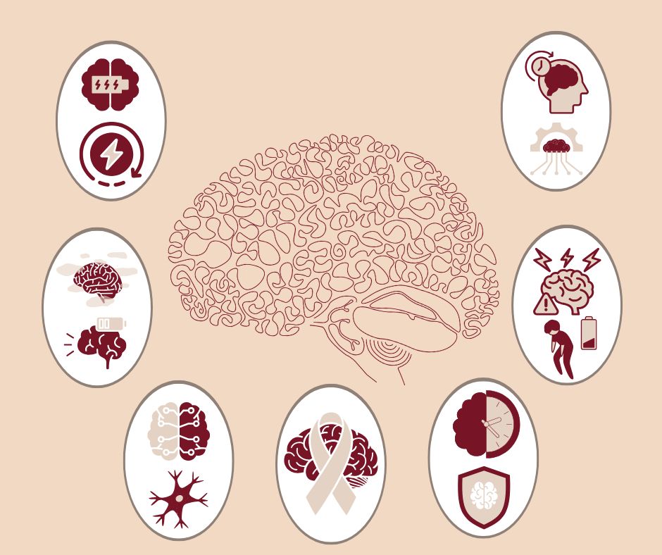 7 Things You Need to Know About Creatine and Brain Health