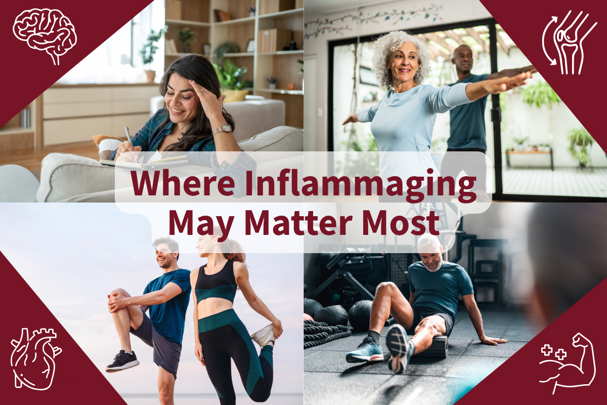 Rethinking Inflammation, Part 3: Inflammaging and Whole-Body Health