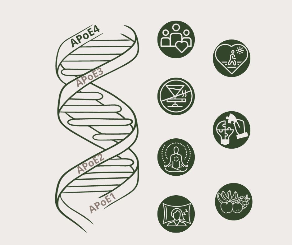 Defying Genetics and Alzheimer’s Disease with Lifestyle and Nutrition