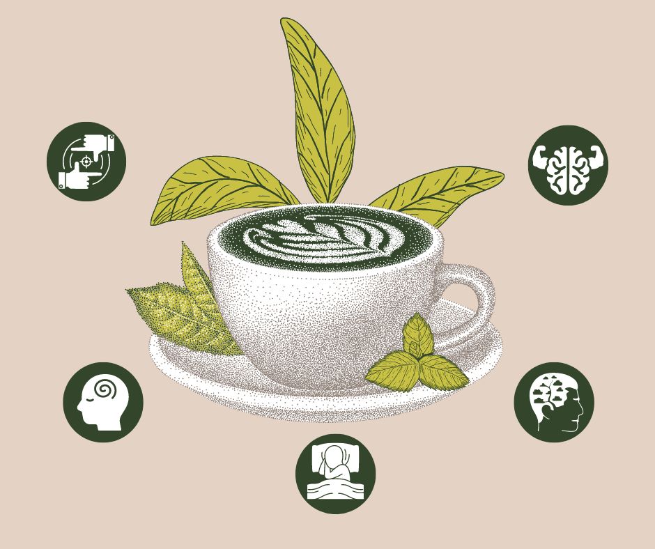 L-theanine, Catechins, & More:  Drink Green Tea for Brain Nutrition