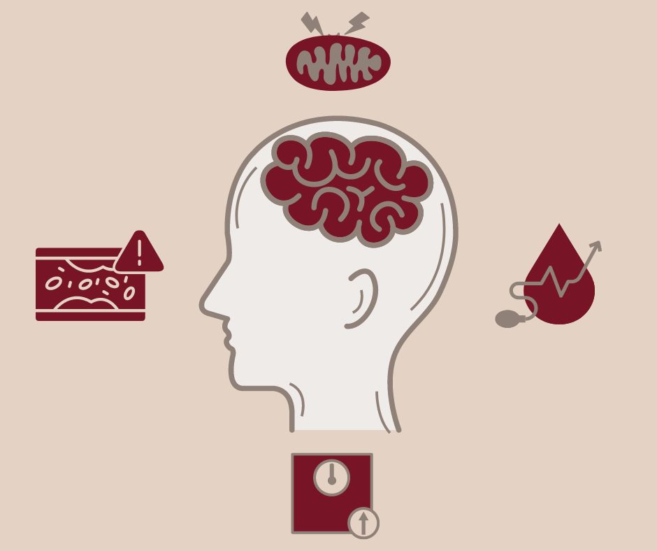 Parkinson’s as a Metabolic Disease:  A New Perspective