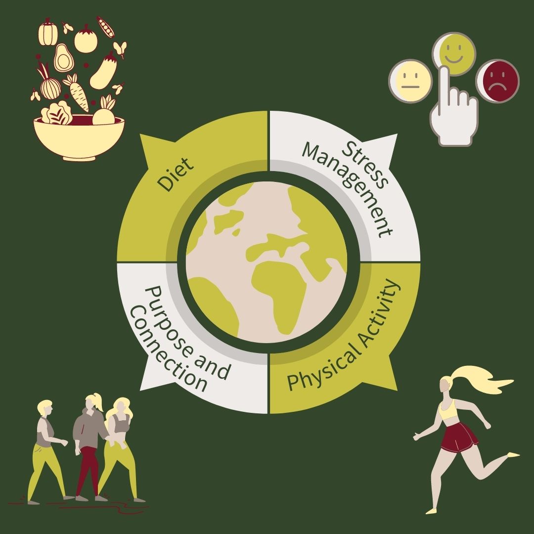 Create Your Own Blue Zone