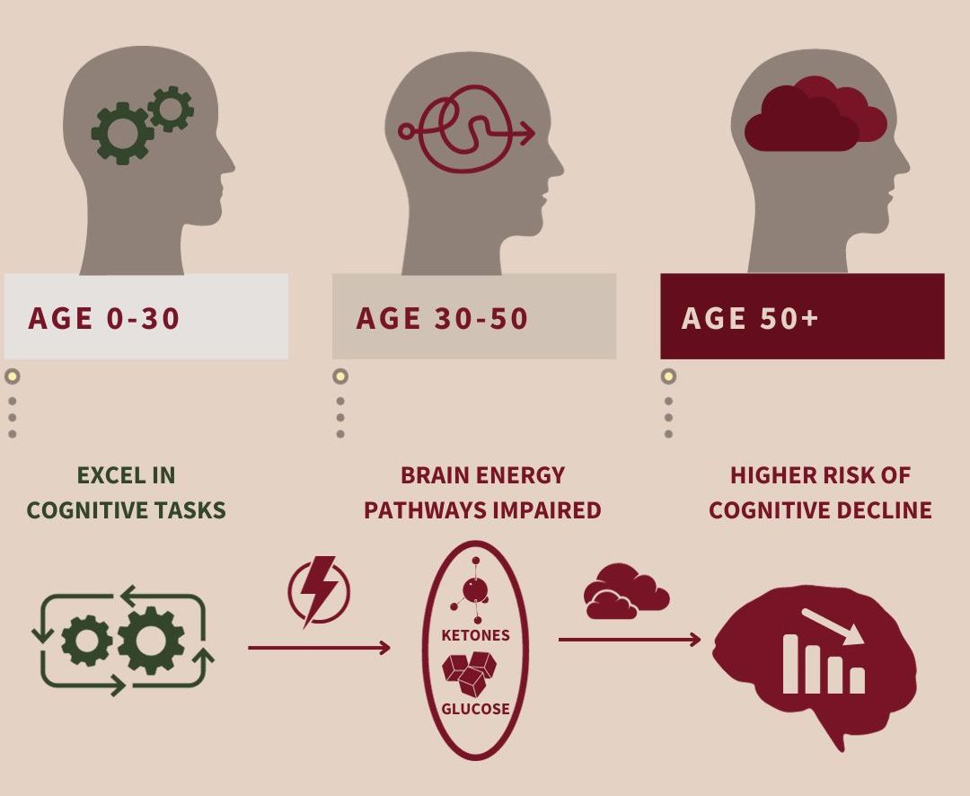 Women and Alzheimer's: Brain Health News Update 2021 Part 3, The Impact of Carrying the APOE4 Gene on Women - NeuroReserve