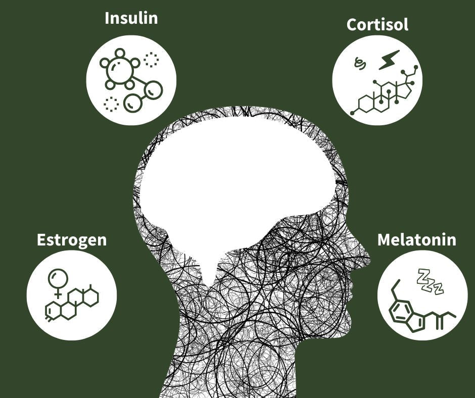 Hormones That May Be Disrupting Your Brain’s Performance