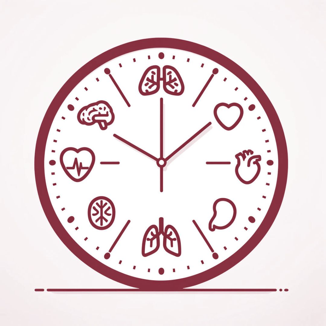 Are Your Organs Older Than You Are?