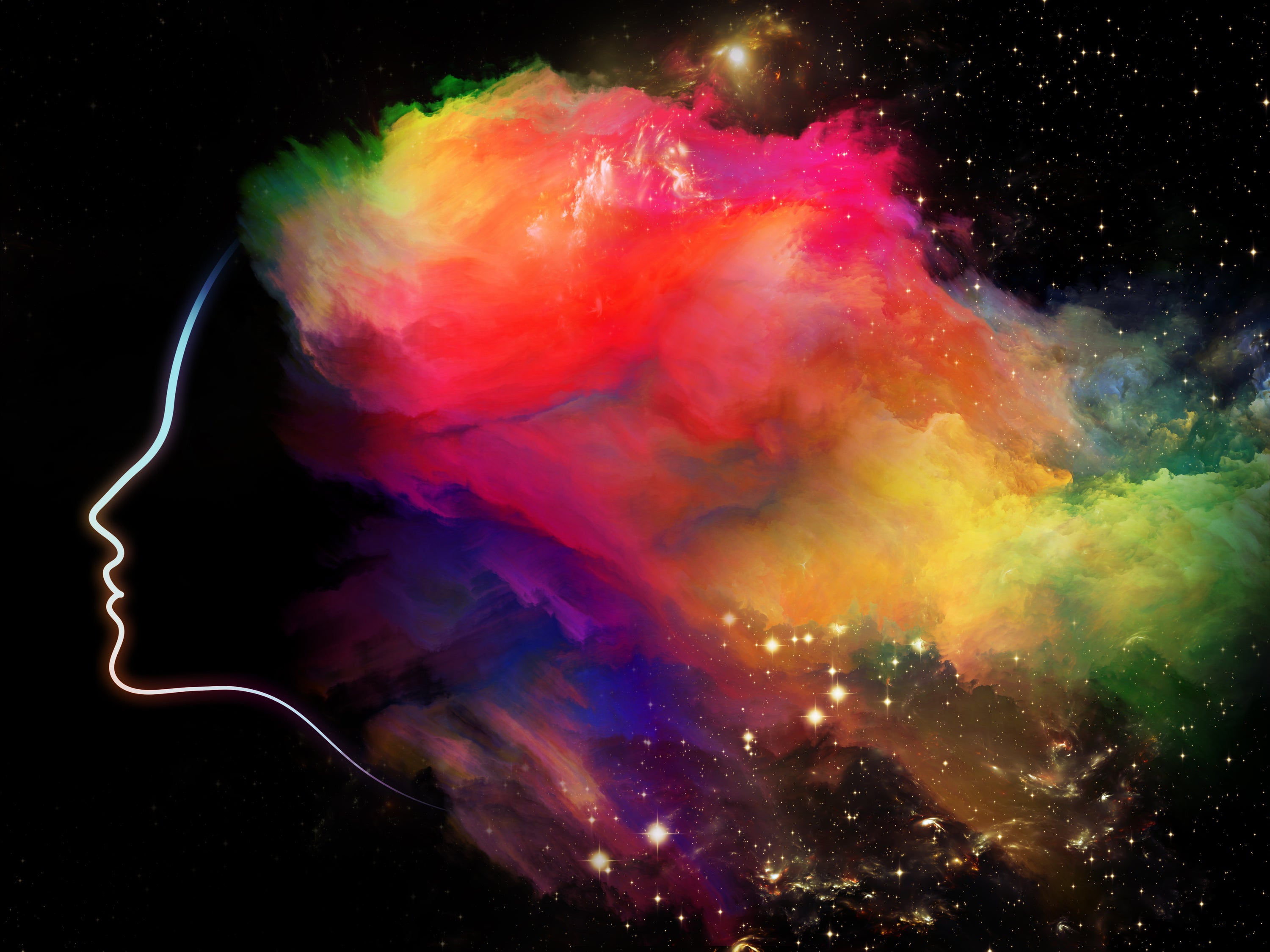 Holiday Spotlight: A Banner Year for Women's Brain Health, Alzheimer's Risk and Reduction